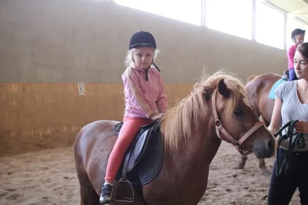 Stadnina koni w Udorzu: Co musisz wiedzieć o usługach i historii