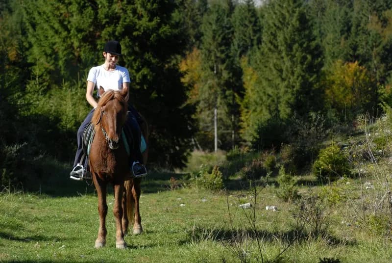 Stadnina Koni Rajd w Jaworkach - idealne miejsce na jazdę konną