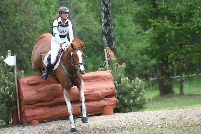 Jeździectwo sportowe: poznaj sekrety dyscyplin i emocjonujących zawodów