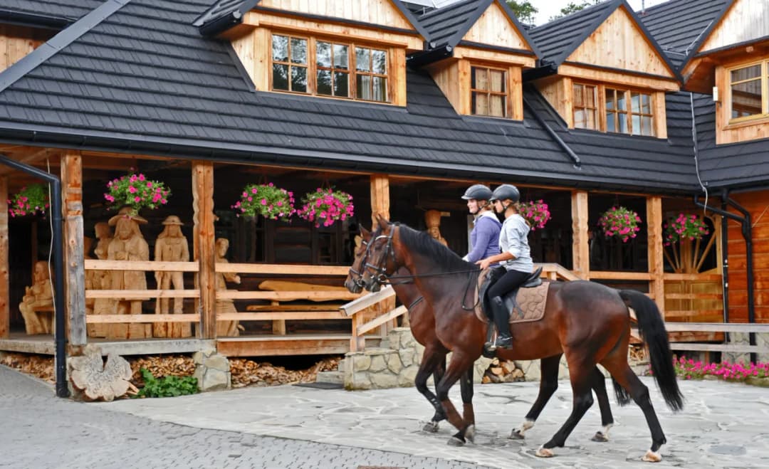 Szkoła świadomego jeździectwa Silvana – wyjątkowe programy w Cewicach