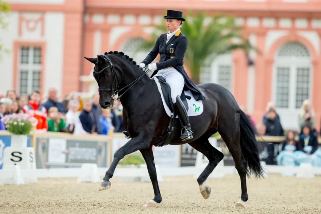 Jeździectwo na igrzyskach olimpijskich: co musisz wiedzieć o zawodach