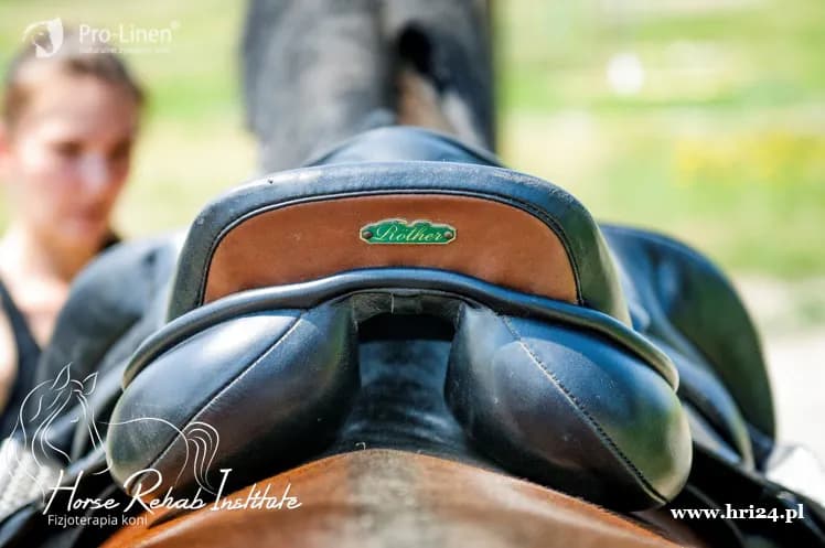 Jak zmierzyć konia pod siodło, aby uniknąć kosztownych błędów