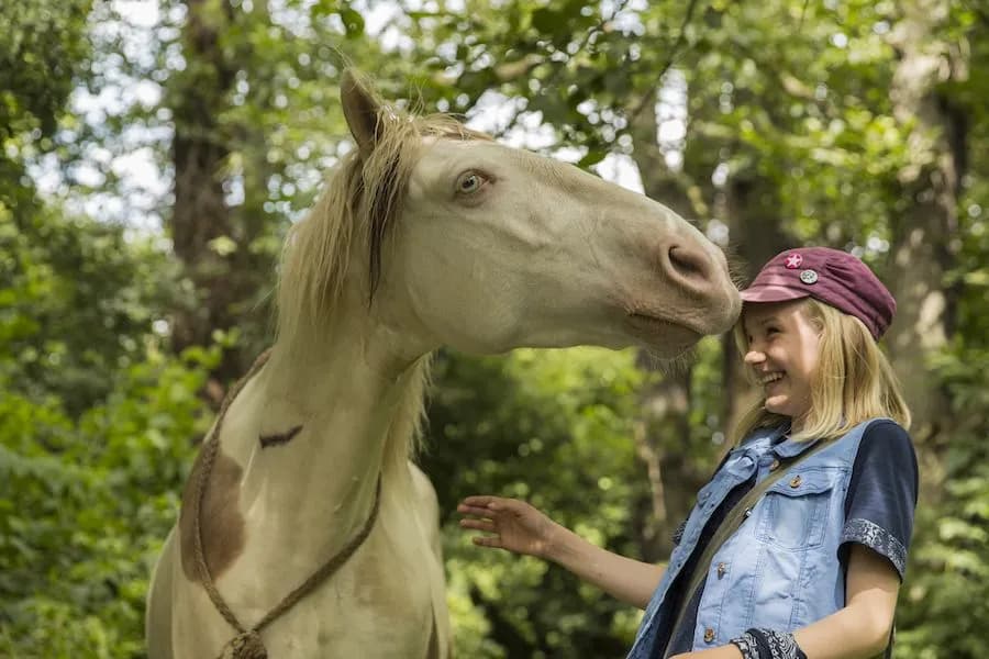 Najlepsze filmy o jeździectwie, które poruszą Twoje serce i duszę