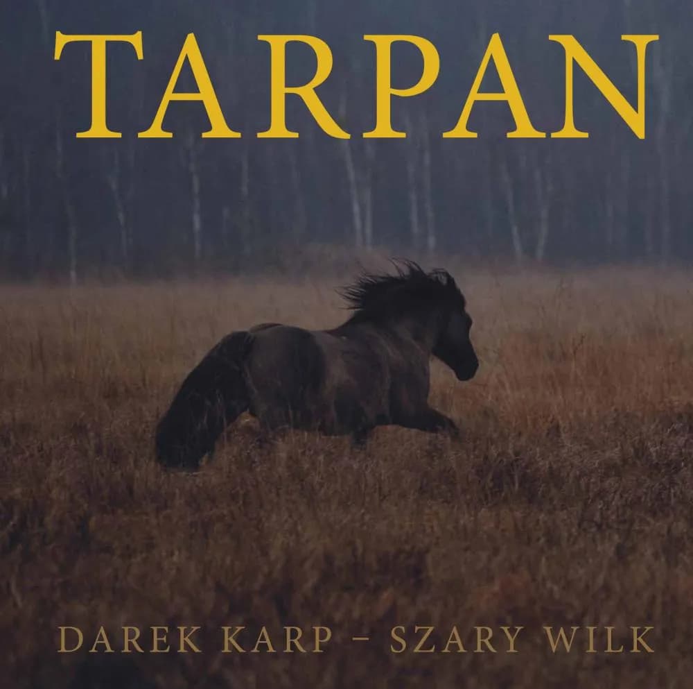 Czy w Polsce są dzikie konie? Odkryj fascynujący świat koników polskich