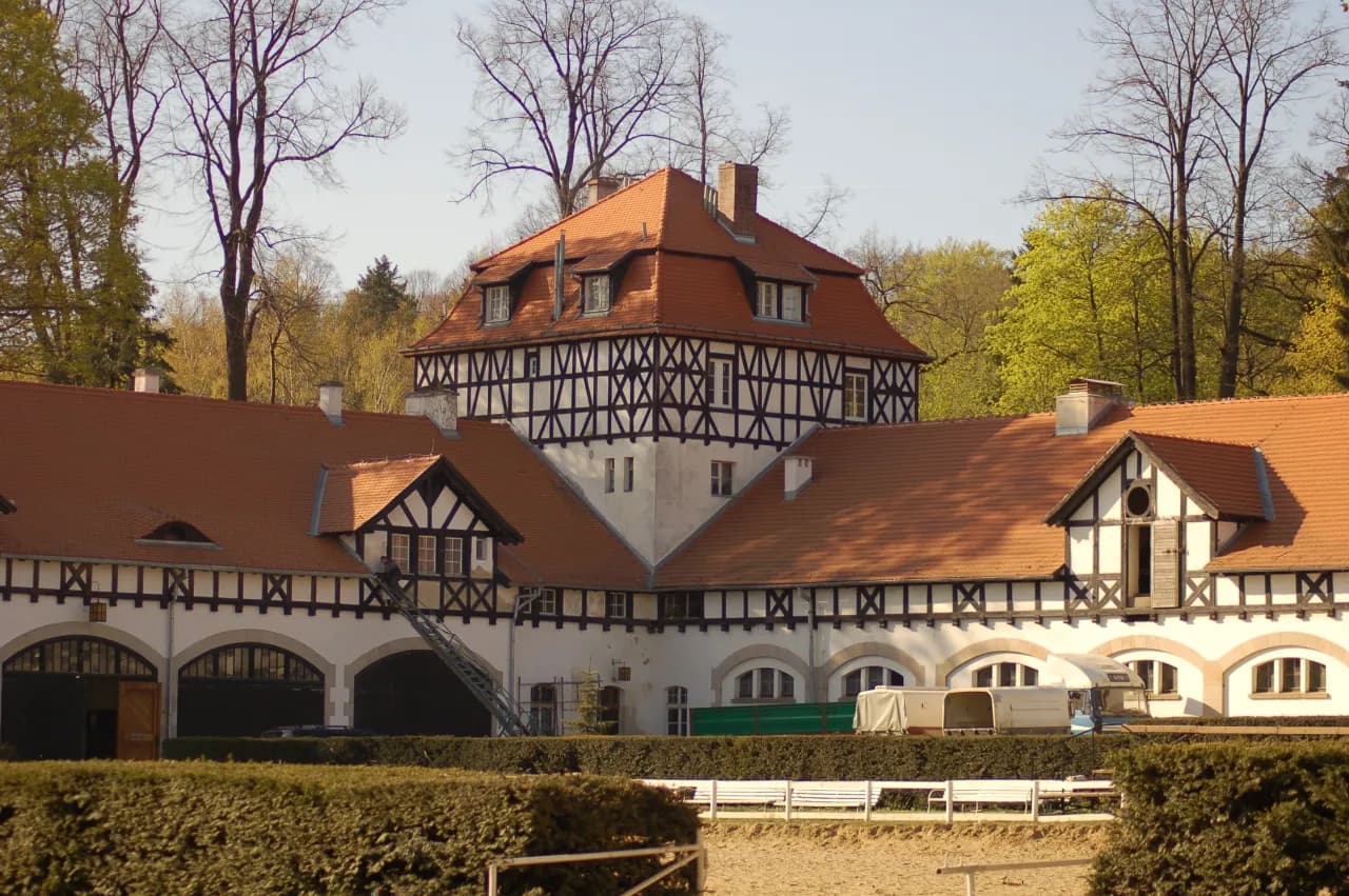 Stadnina koni Wałbrzych - hodowla ogierów śląskich i ich historia