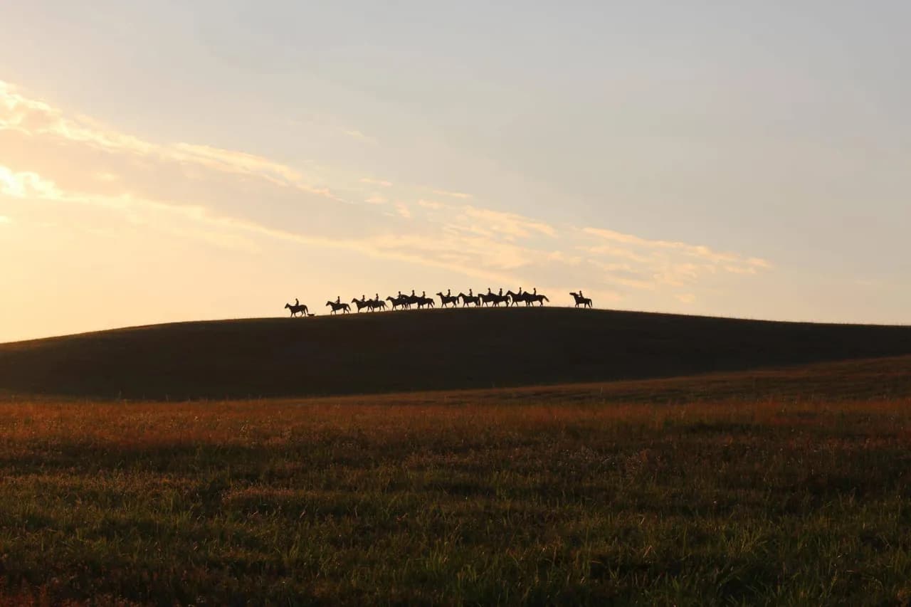 Stadnina koni Runowo - piękne zdjęcia i informacje o ofercie