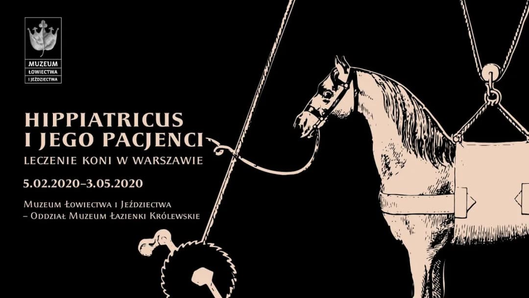 Muzeum jeździectwa w Warszawie: Odkryj fascynującą historię koni
