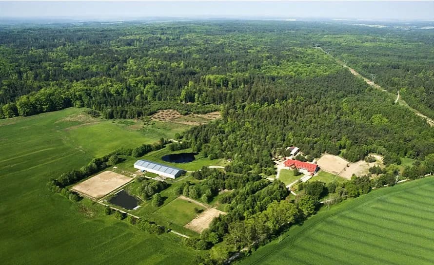 Stadnina koni Stubno: Poznaj historię i ofertę ośrodka jeździeckiego