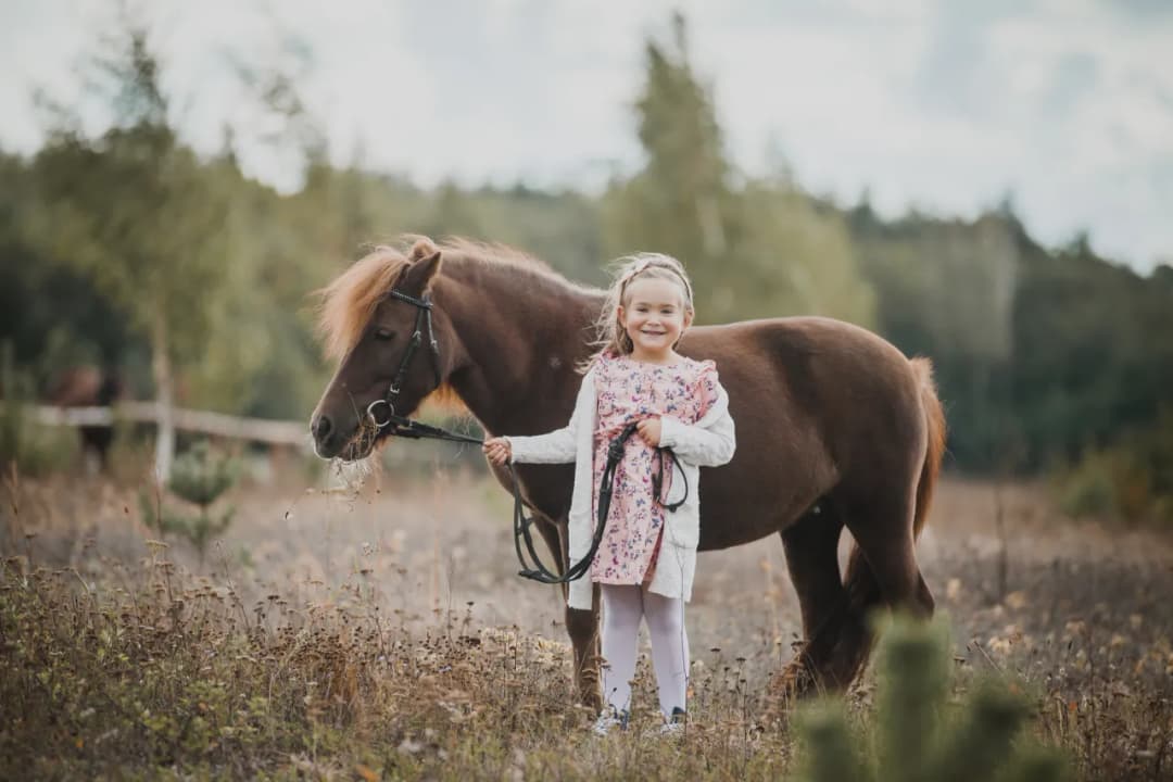 Stadnina koni Żabno - historia, hodowla małopolskich koni i usługi