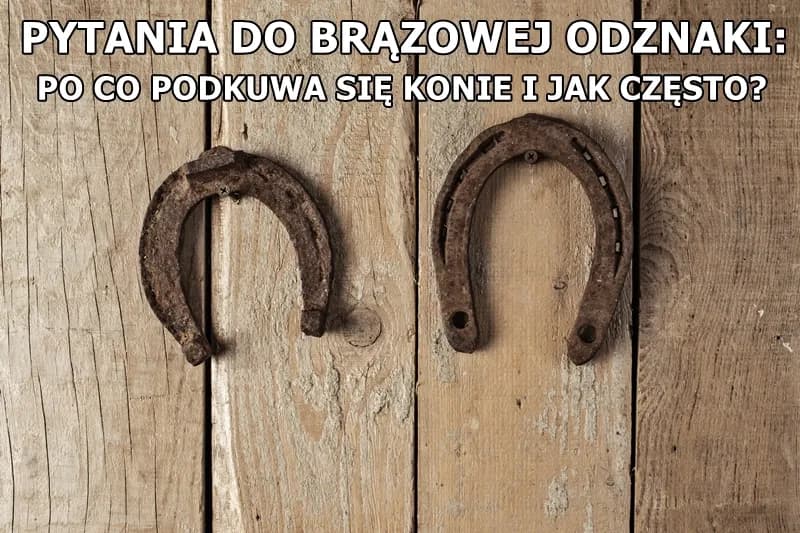 Dlaczego podkuwa się konie? Odkryj korzyści i zagrożenia dla kopyt