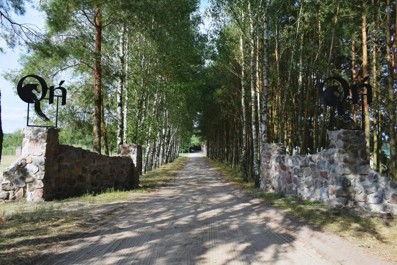 Najlepsze obozy jeździeckie dla dzieci - co musisz wiedzieć