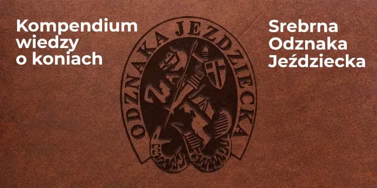 Srebrna odznaka jeździecka - jak zdobyć i uniknąć najczęstszych błędów