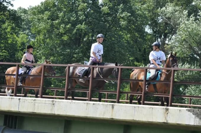 Stadnina koni Łopuszna - historia, usługi i atrakcje dla miłośników jeździectwa